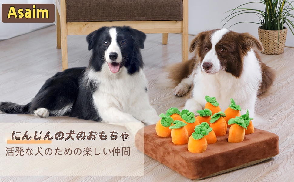 Amazon | ペットのニンジンのおもちゃ にんじん収穫隊 にんじん畑 犬